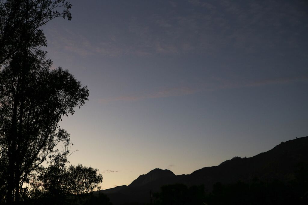 photo by matt bennett