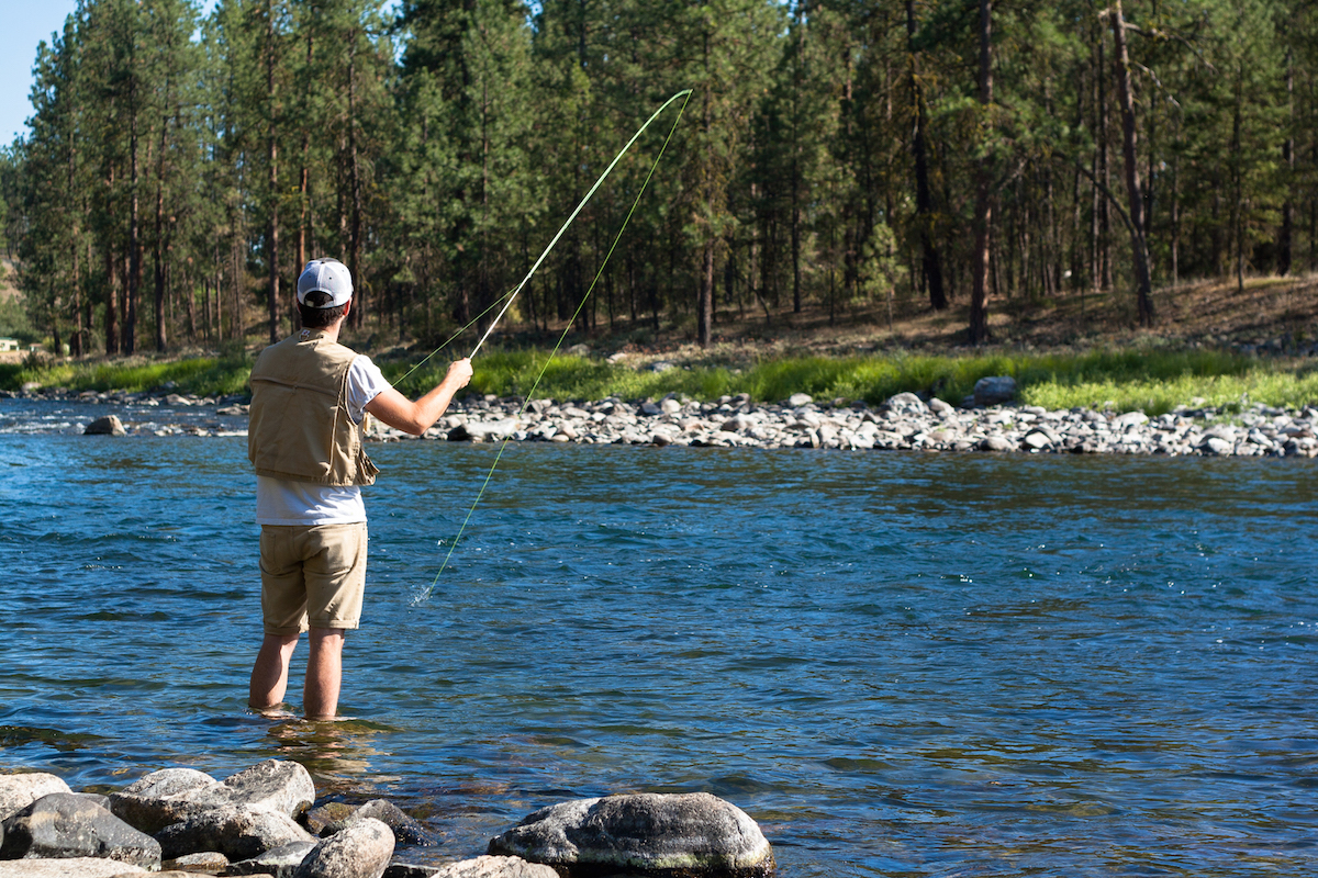 photo by corey zalewski