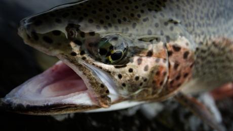 photo by jordan gill, seacat creative